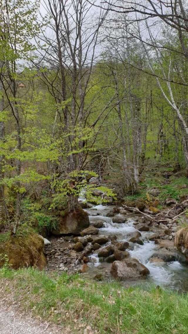 Шале Gradine - Katun kamp Плав-41